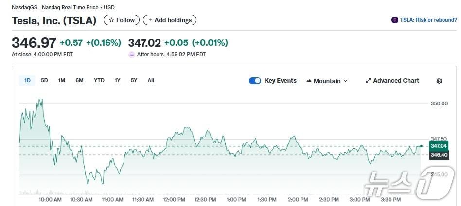 본문 이미지 - 테슬라 일일 주가추이 - 야후 파이낸스 갈무리