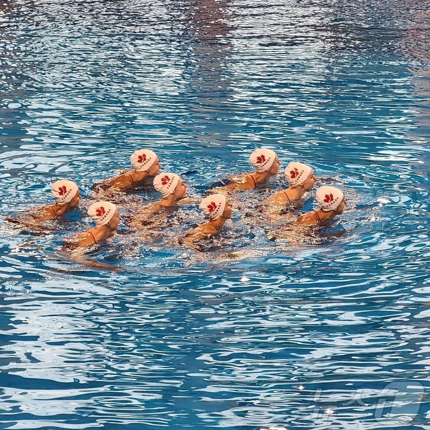 본문 이미지 - 경북도는 10일 지난 6월~8월까지 21개 종목 124개 팀, 선수단 2261명&#40;연인원 2만5000여명&#41;이 경북을 전지훈련지로 선택해 하계 전지훈련지로 인기를 끌고 있다.&#40;경북도 제공,재판매 및 DB 금지&#41; /뉴스1