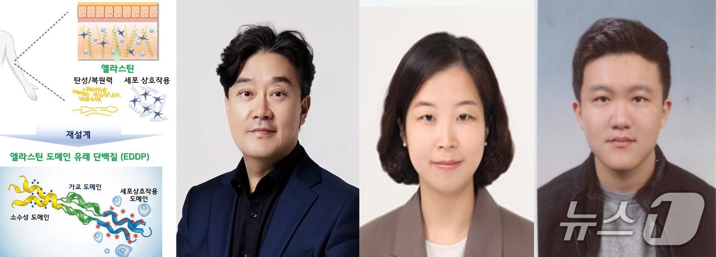 10일 포스텍&#40;포항공대&#41; 화학공학과 융합대학원 차형준 교수팈이 인하대 생명공학과 양윤정 교수팀과 공동연구로 천연 엘라스틴의 한계를 극복한 새로운 인공 생체소재 &#39;EDDP&#39;를 개발했다.  왼쪽부터 차형준 교수, 양윤정 교수, 포스텍 통합과정 조승겸 