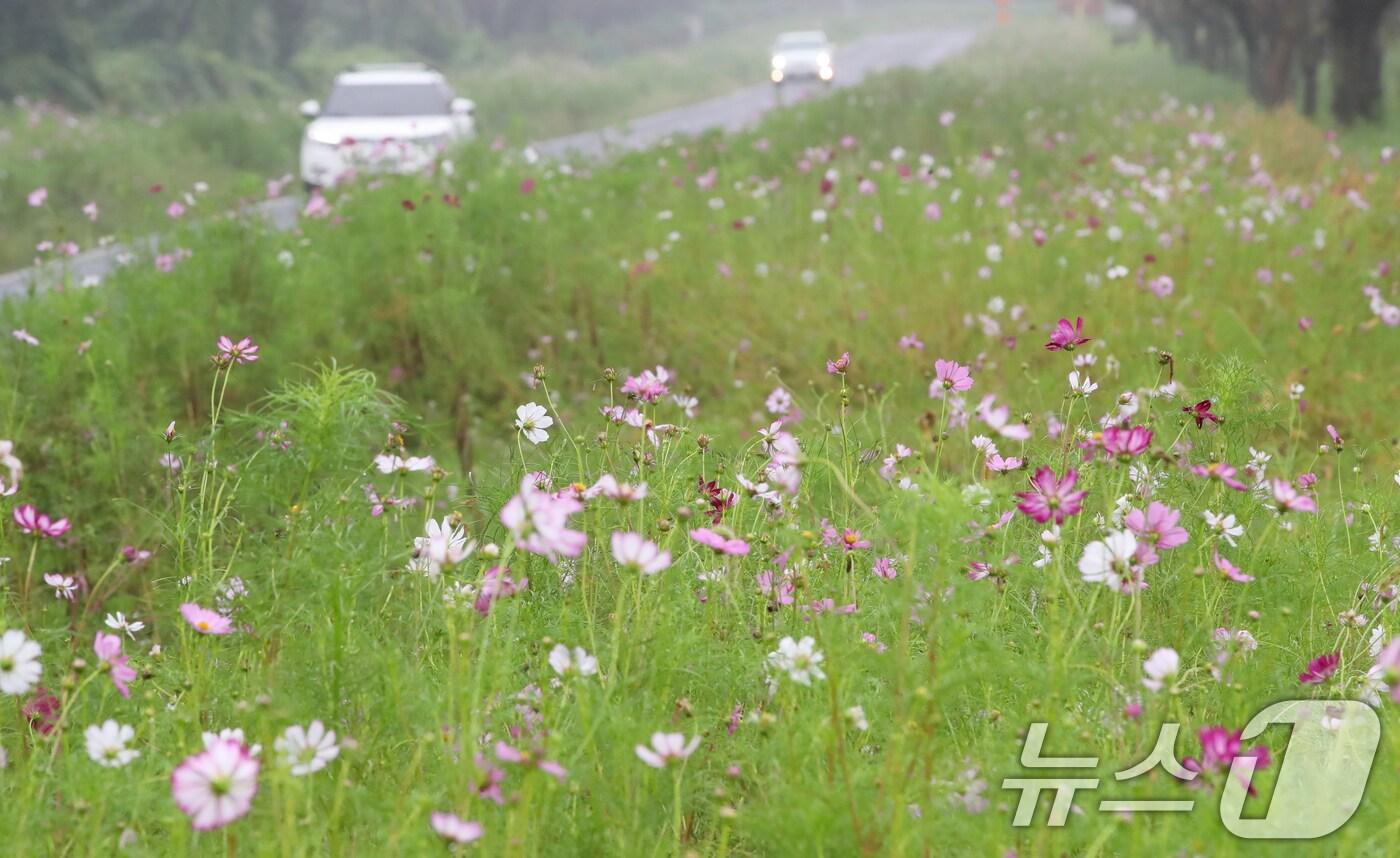 자료사진. ⓒ News1