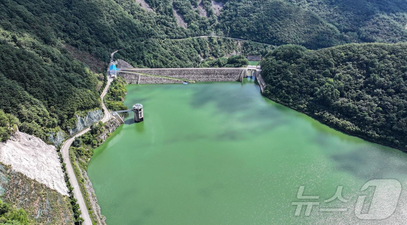 지난 10일 강원 평창군 대관령면 도암댐에 초록빛 물이 차 있다. 환경부와 강릉시가 가뭄 해소를 위해 도암댐 물을 비상 방류해 한시적으로 생활용수로 쓰기로 했다.  2025.9.10/뉴스1 ⓒ News1 김진환 기자