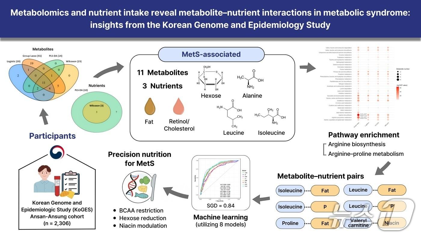 본문 이미지 - 대사체-영양소 상호작용 연구 모식도.(인하대 제공. 재배포 및 DB금지)2025.9.10/뉴스1