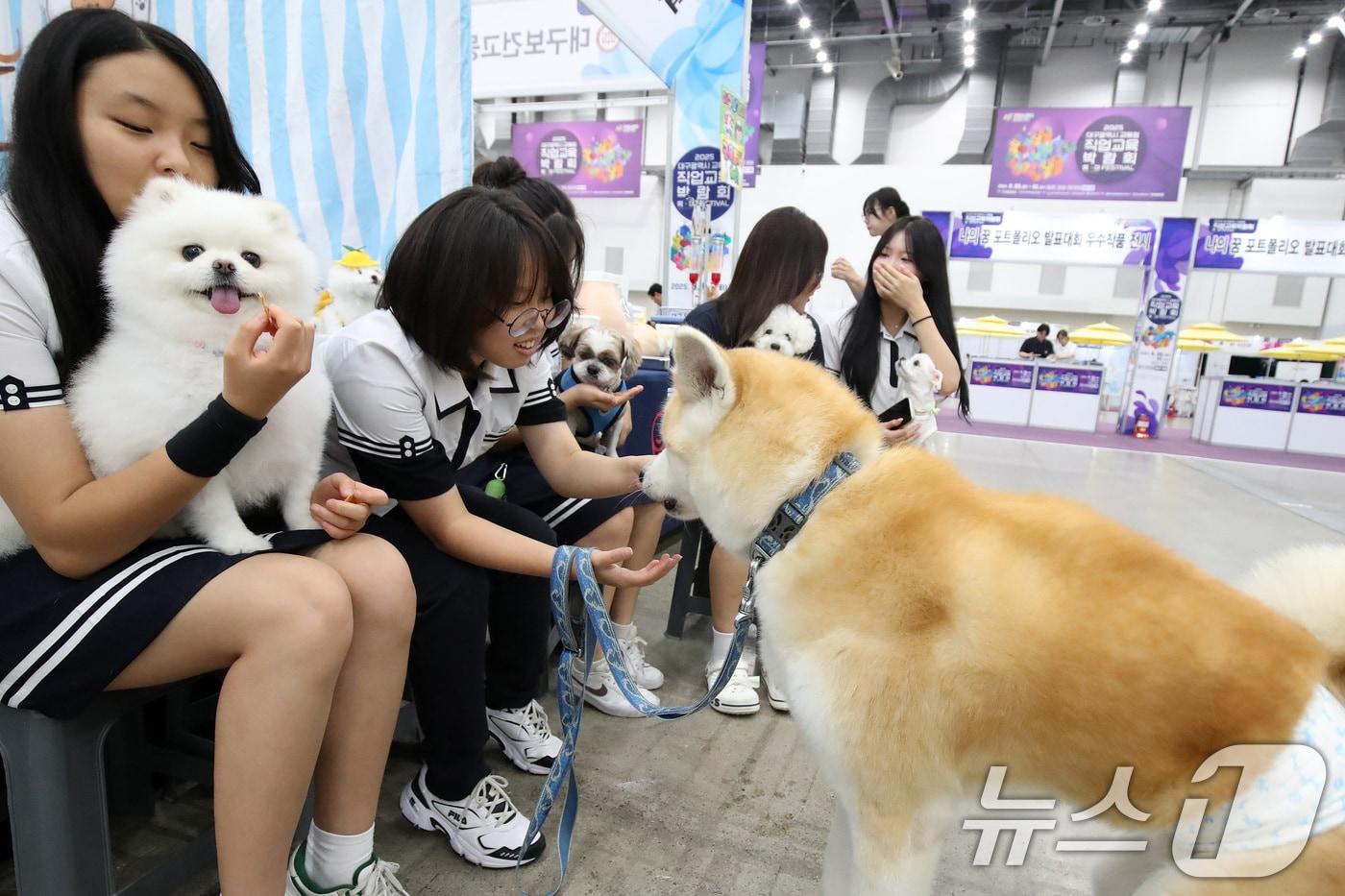 지난달 대구 엑스코에서 열린 '2025 대구교육청 직업교육박람회-특·마(특성화고·마이스터고) 페스티벌'을 찾은 학생들이 대구보건고등학교 부스에서 반려동물 교육 체험을 하고 있는 모습. (뉴스1 DB) 2025.9.10/뉴스1 ⓒ News1 공정식 기자