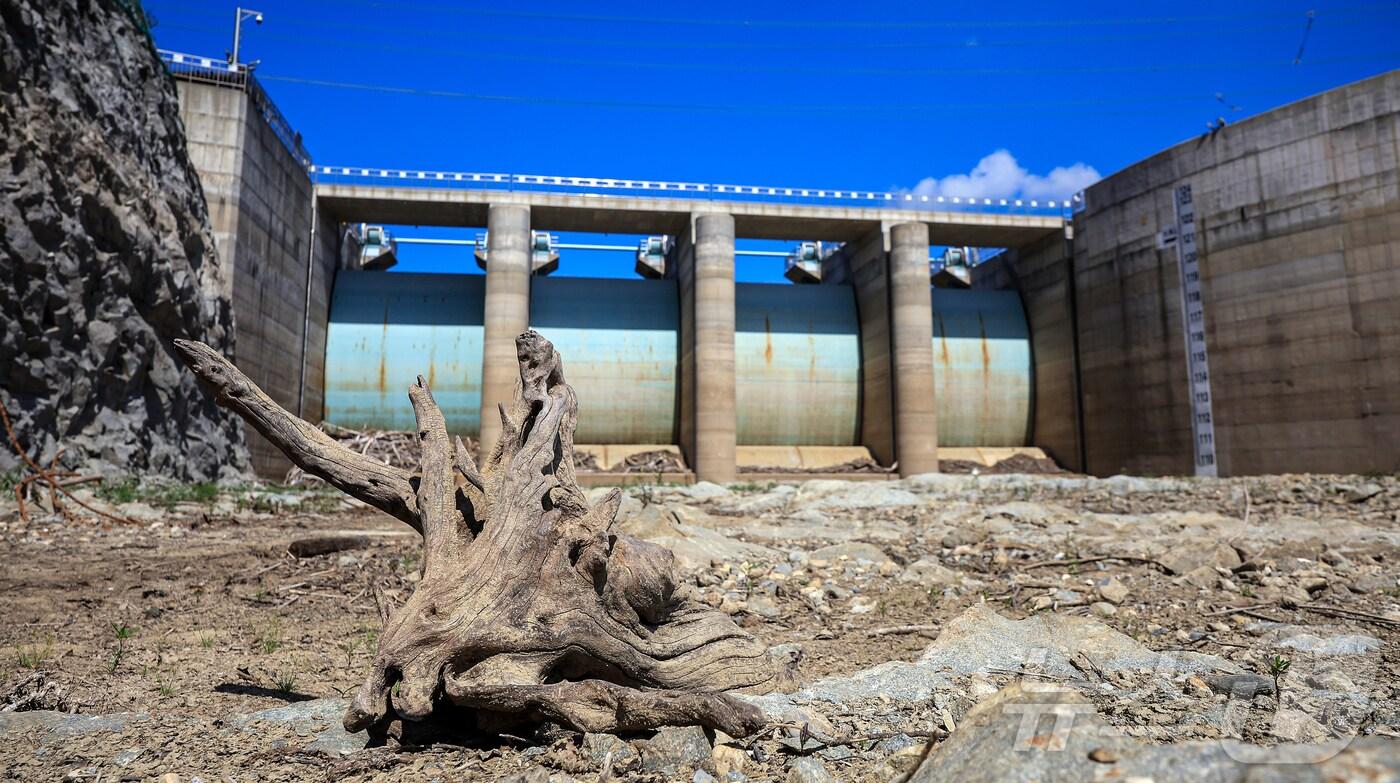 10일 오후 강원 강릉시 오봉저수지가 바짝 말라붙어 바닥을 드러내고 있다. 최악의 가뭄 사태를 맞고 있는 강릉지역의 지역 식수 87%를 담당하는 오봉저수지의 저수율은 이날 오전 9시 기준 12.0%로&#40;평년 70.9%&#41; 전날 동시간 대 확인된 저수율 12.3%보다 0.3%p 더 낮은 수치다. 2025.9.10/뉴스1 ⓒ News1 김진환 기자