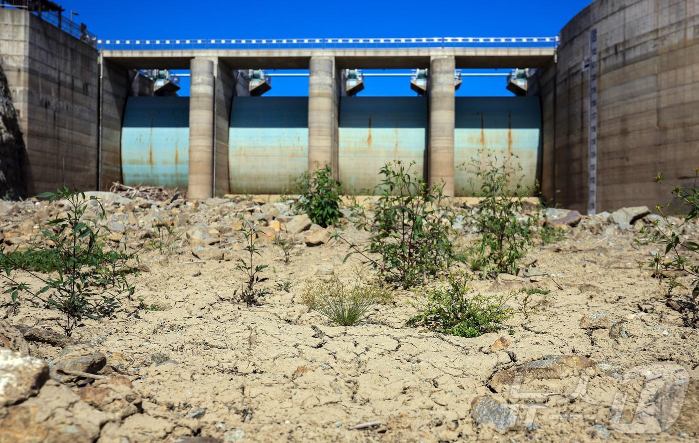 지난 여름 가뭄사태 당시 바짝 마른 강원 강릉 오봉저수지.&#40;뉴스1 DB&#41; ⓒ News1 김진환 기자