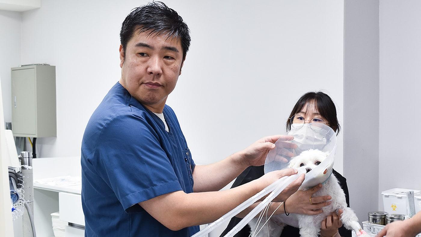 안형택 월드펫동물메디컬센터 영상 실장&#40;왼쪽&#41;이 환견의 MRI 촬영을 준비하고 있다&#40;동물병원 제공&#41;. ⓒ 뉴스1