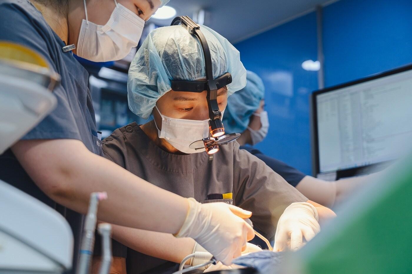 수의사가 반려동물 치과 치료를 하고 있다(라라동물의료원 제공). ⓒ 뉴스1