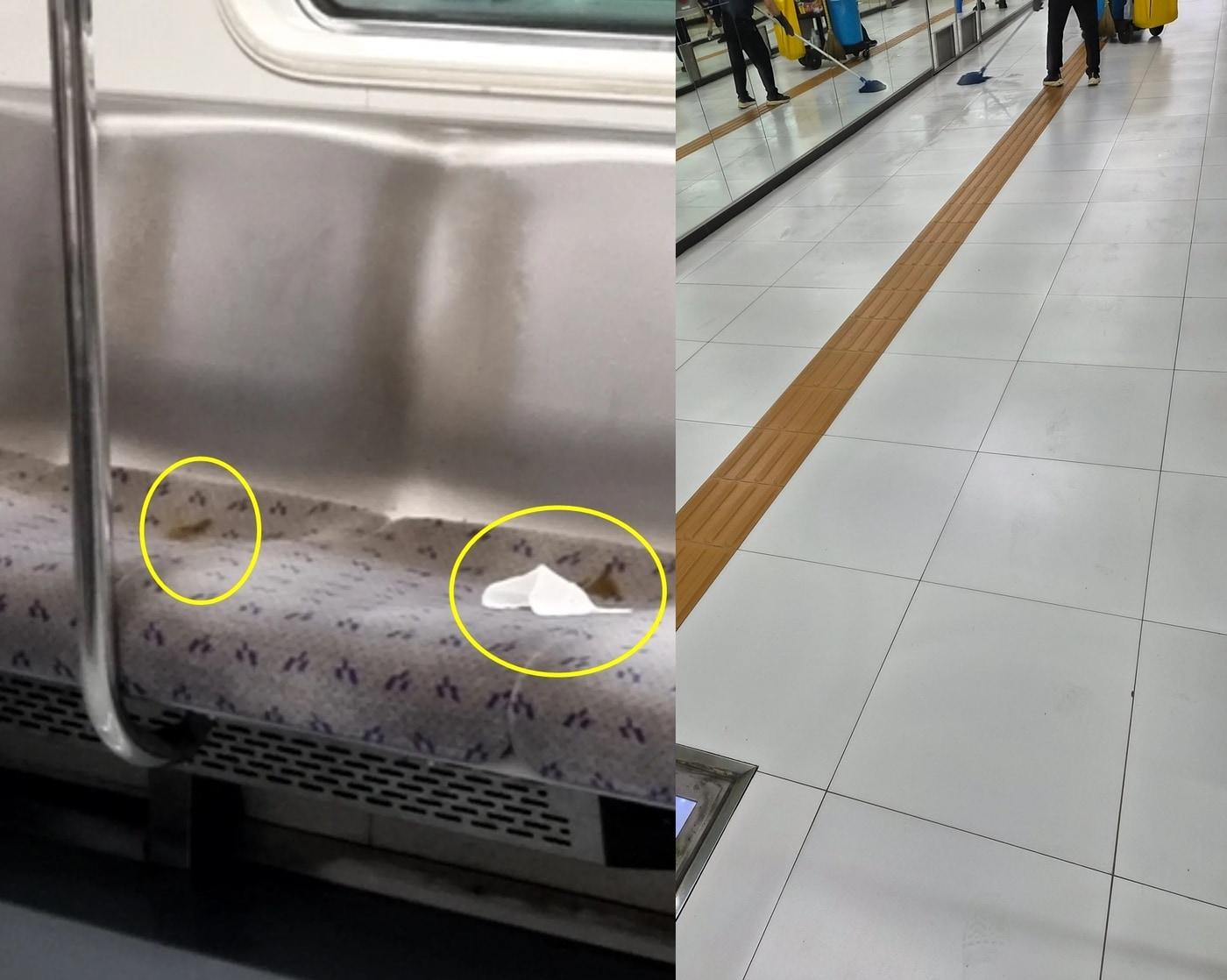 본문 이미지 - (보배드림 갈무리)