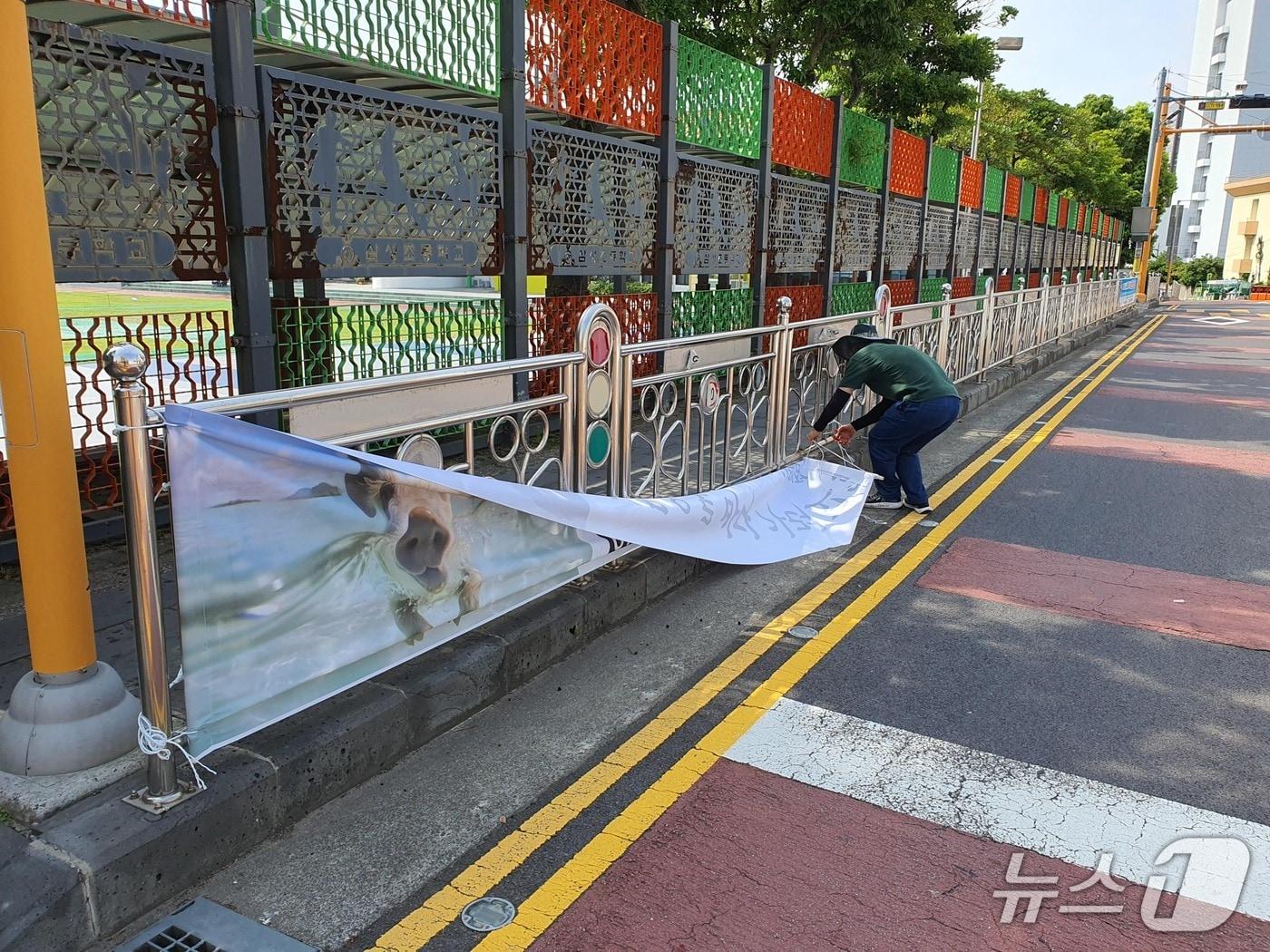 본문 이미지 -  제주시는 개학기 학교 주변 불법광고물 단속을 실시한다.(제주시 제공. 재판매 및 DB 금지)/뉴스1