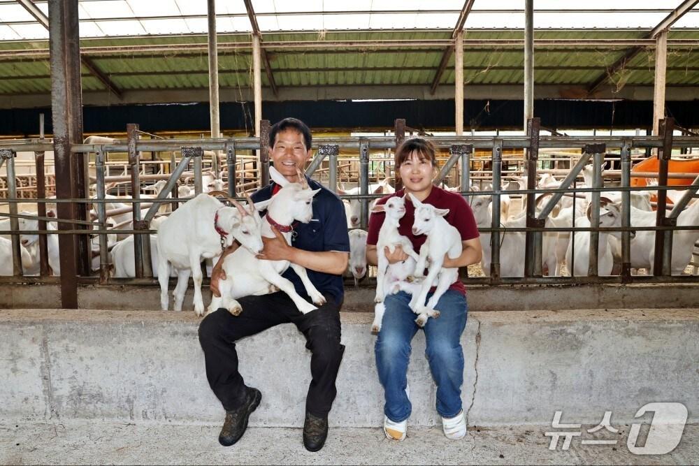 본문 이미지 - 전북 진안군 백운면 소재 데미샘꿈그린 농장이 &#39;방목생태축산농장&#39;으로 신규 지정된 가운데 황양우·송미화 부부가 산양들을 안고 기념 촬영을 하고 있다.&#40;전북도 제공. 재판매 및 DB금지&#41;/뉴스1