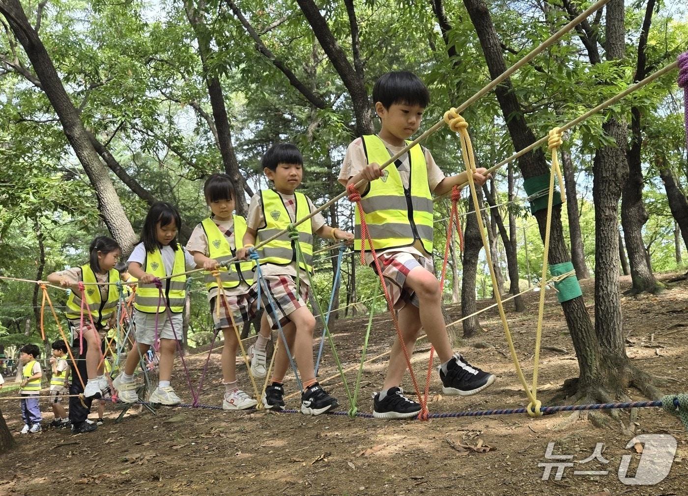 본문 이미지 - 대구교육청은 10일 '2025 영유아 자연놀이 체험'을 대구 전역으로 확대 운영한다고 밝혔다. 사진은 체험 활동 모습. (대구교육청 제공. 재판매 및 DB 금지)/뉴스1