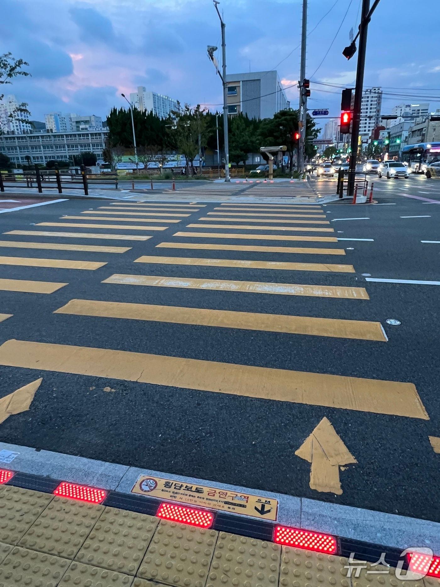 본문 이미지 - 성남초등학교 어린이보호구역에 설치된 바닥신호등.(부산 동구 제공. 재판매 및 DB금지)