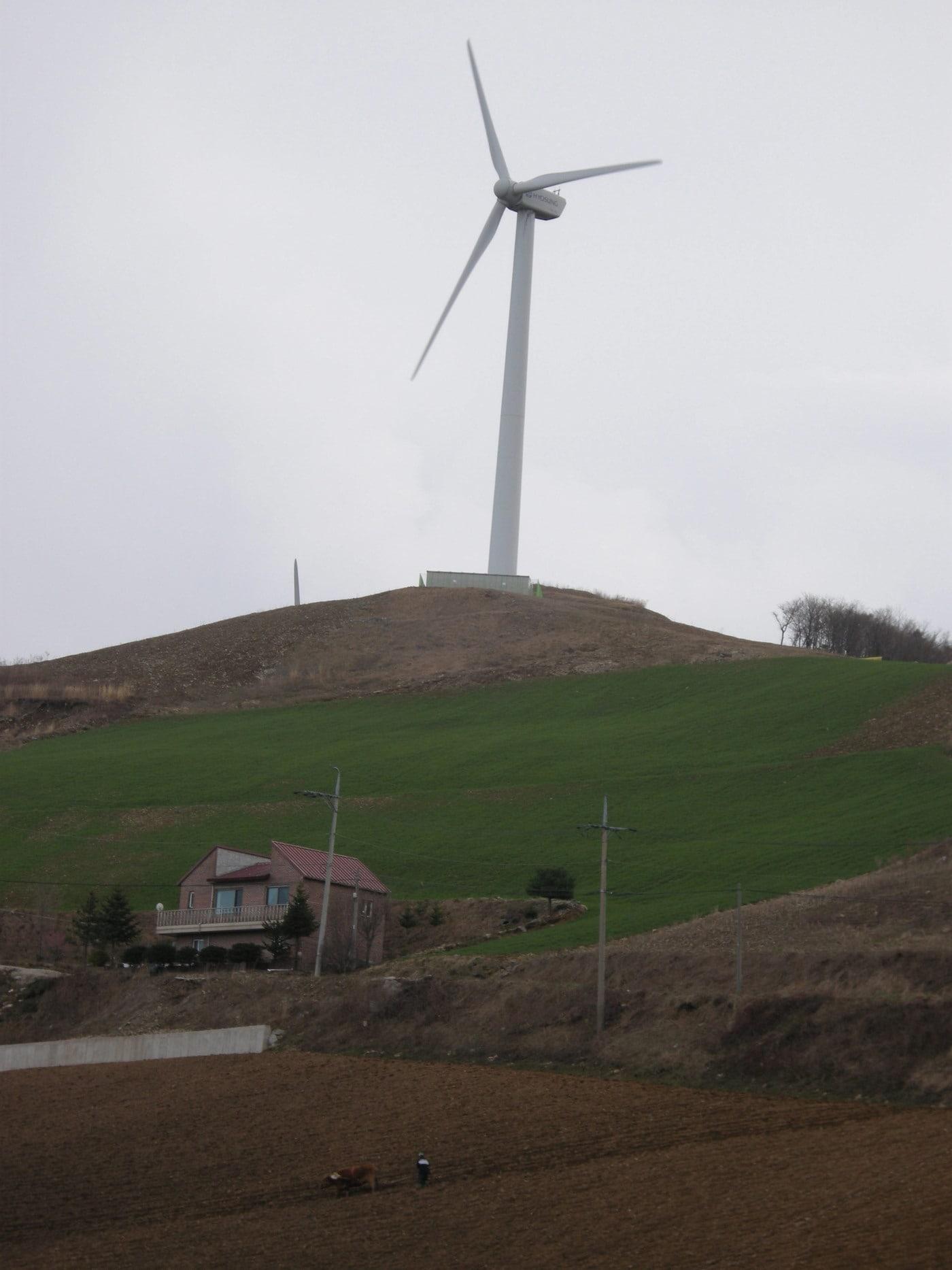 본문 이미지 - 피복작물 사진 &#40;농촌진흥청 제공&#41; 2025.9.11 /뉴스1