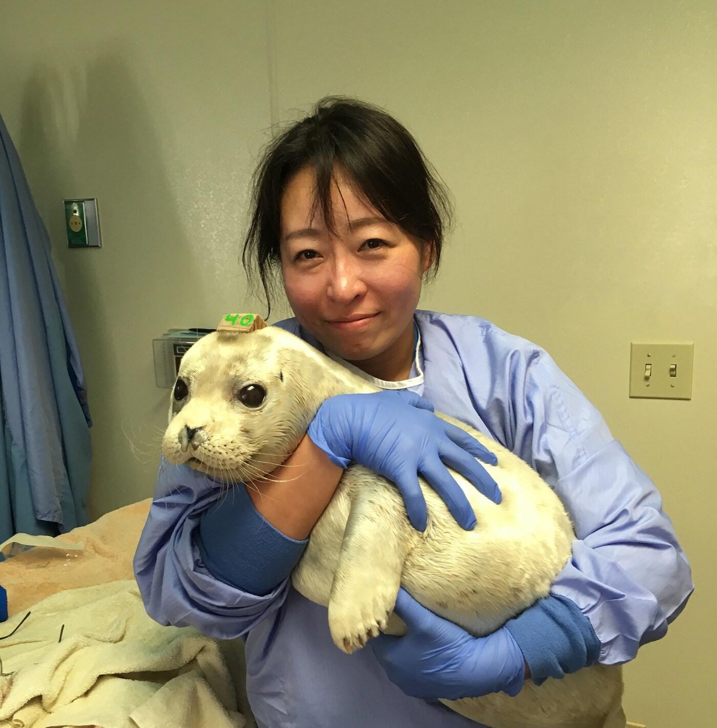 본문 이미지 - 이영란 수의사가 물범을 진료하고 있다&#40;수의사회 제공&#41;. ⓒ 뉴스1