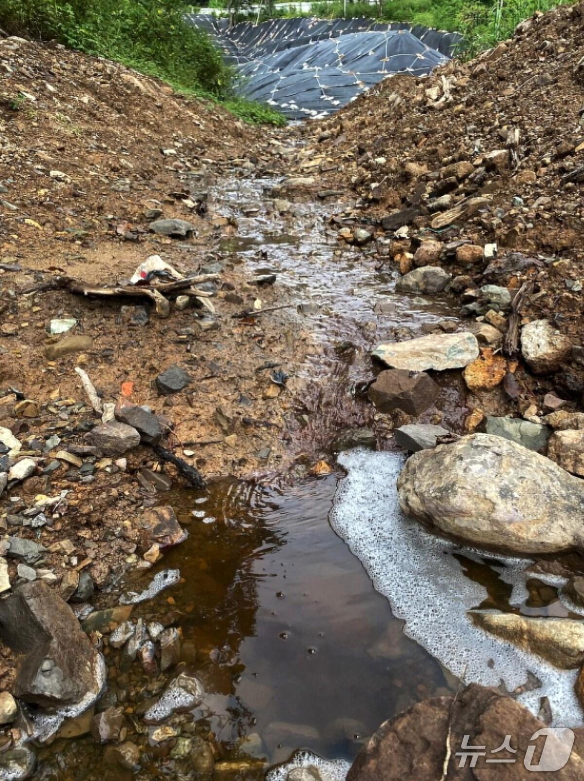 본문 이미지 - 11일 경북 경주환경운동연합이 서면 도리 130번지 일원에 매립된 폐기물에서 발생한 침출수가 인근 하천에 유입되면서 환경을 오염시키고 있다고 주장했다. (경주환경운동연합제공, 재판매 및 DB금지) 2025.9.11/뉴스1