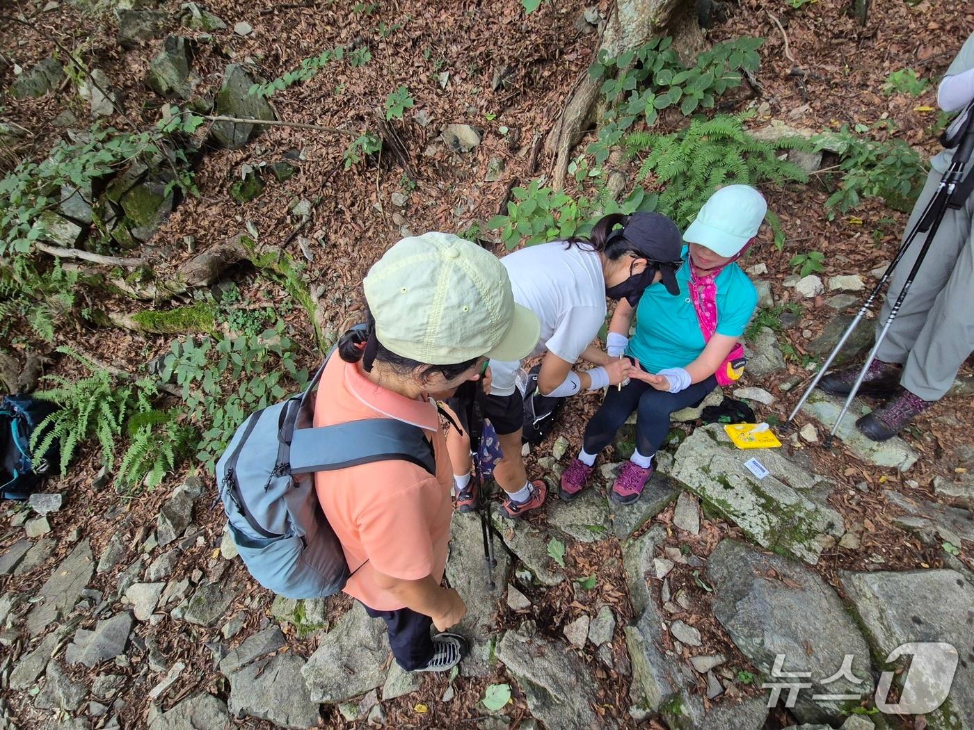 본문 이미지 -  송주희 충남소방본부 119종합상황실 소속 소방교가 지난 6일 계룡산에서 등산객을 대상으로 응급조치를 취하고 있다. (충남소방본부 제공, 재판매 및 DB금지) / 뉴스1