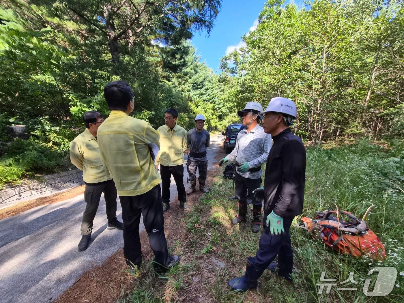 본문 이미지 - 동부산림청, 잣종실 무상양여 대상지 현장점검.(동부산림청 제공, 재판매 및 DB 금지) 2025.9.12/뉴스1