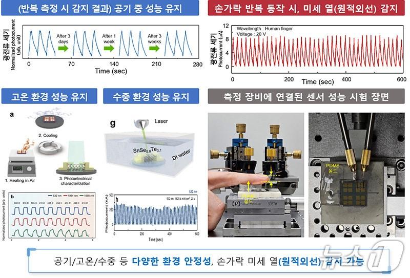 본문 이미지 - 차세대 광센서의 다양한 환경 안정성 및 미세 감지 성능(화학연 제공) /뉴스1