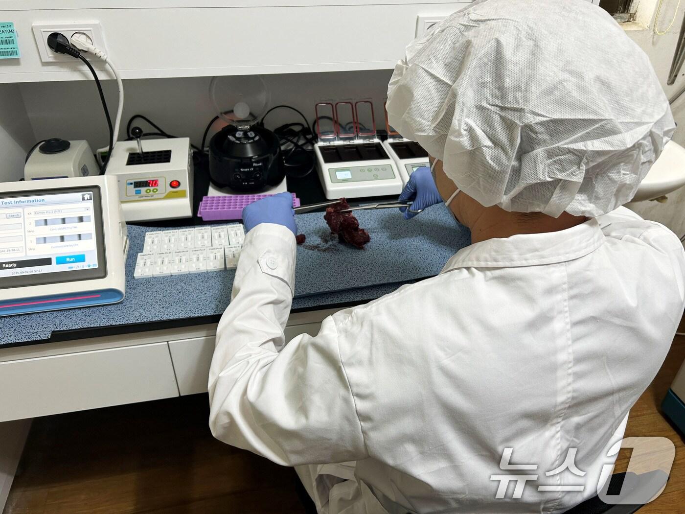 본문 이미지 - 광주시 보건환경연구원 축산물 도축 검사.&#40;광주시 제공. 재판매 및 DB 금지&#41; 