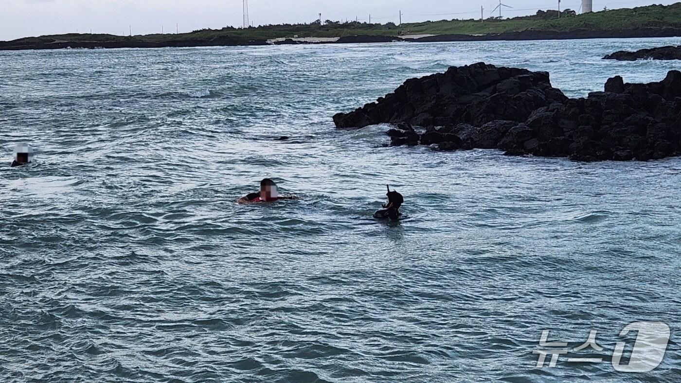 12일 오후 5시48분쯤 제주시 구좌읍 김녕해수욕장에서 물놀이객들이 파도에 휩쓸렸다가 구조되고 있다.(제주도소방안전본부 제공. 재판매 및 DB 금지)