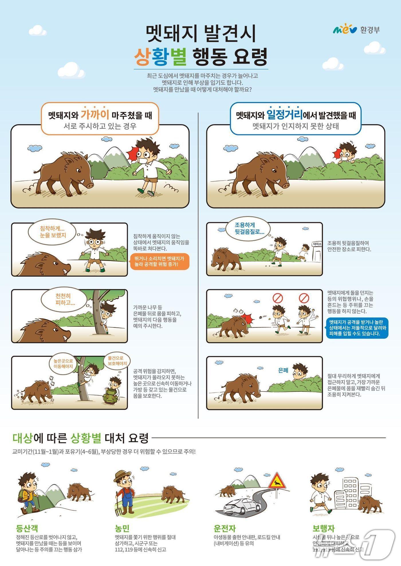 본문 이미지 - 멧돼지 발견시 행동요령.&#40;환경부 제공. 재판매 및 DB금지&#41;