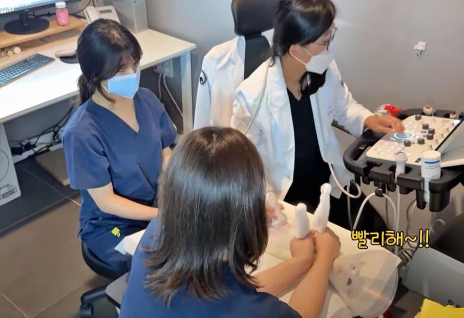 본문 이미지 - 엑스레이 찍고 있는 고양이&#40;스튜디오 그냥 영상 갈무리&#41; ⓒ 뉴스1