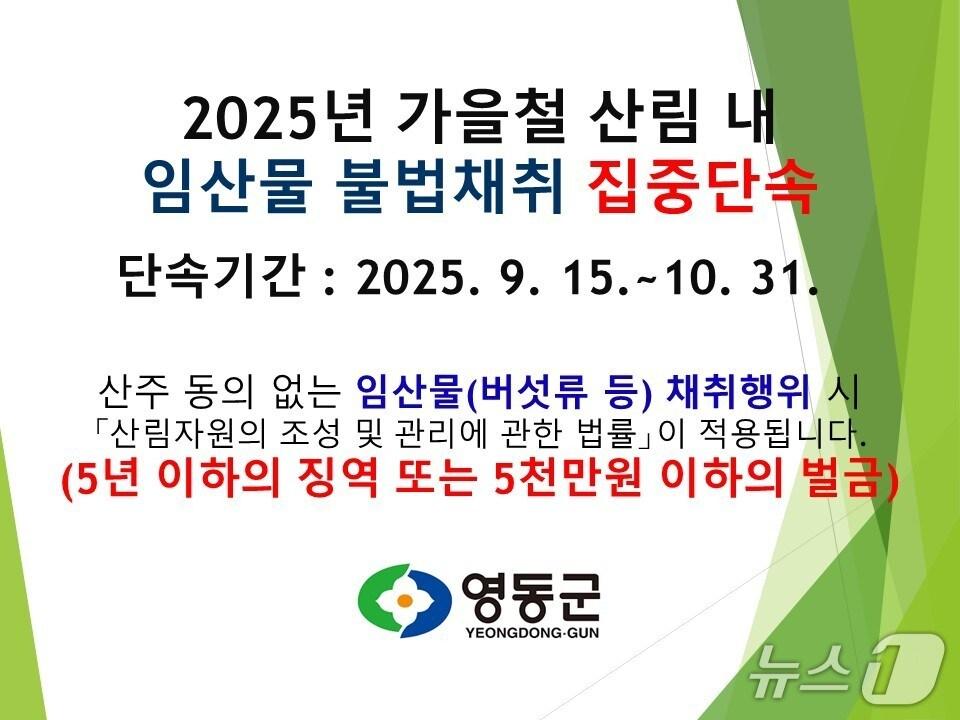 본문 이미지 - 영동군 가을철 산림내 불법행위 집중단속 홍보물/뉴스1 