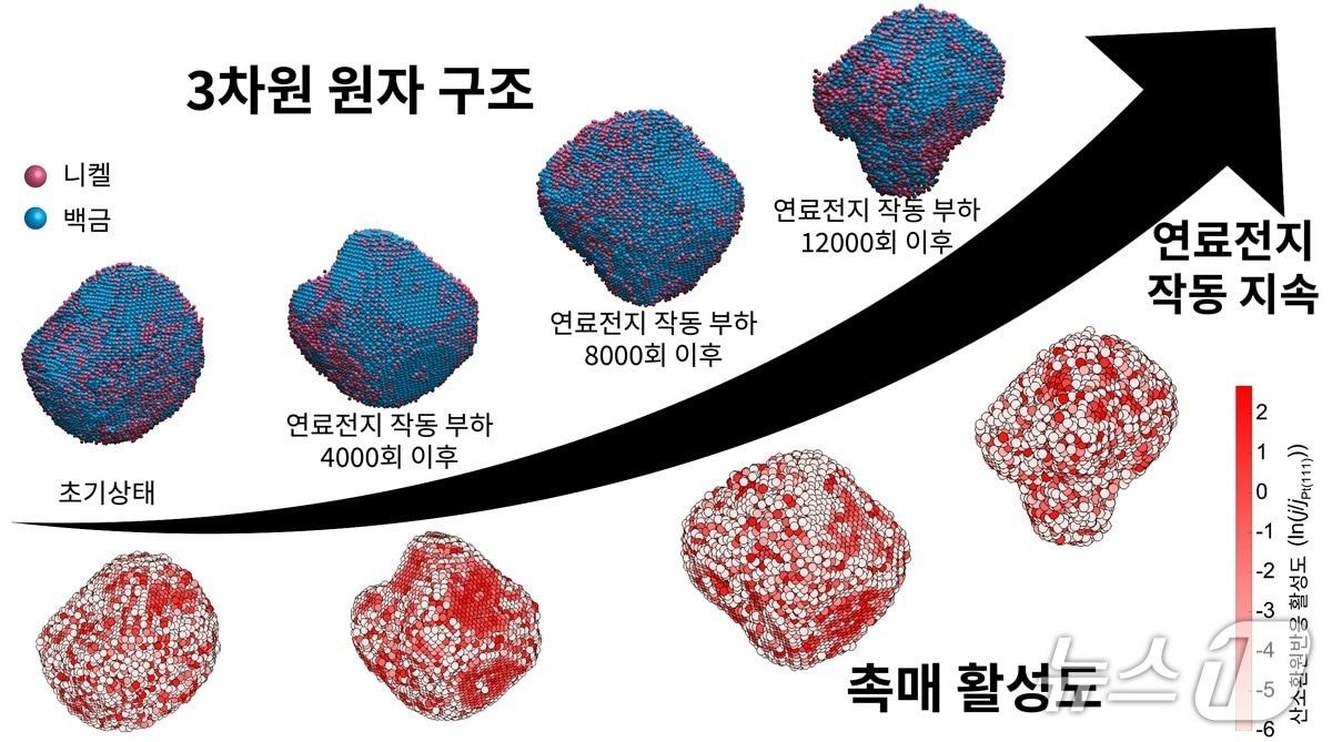 본문 이미지 - 갈륨 도핑된 백금-니켈 촉매 나노입자의 3차원 원자구조 및 촉매 활성 변화&#40;KAIST 제공&#41; /뉴스1