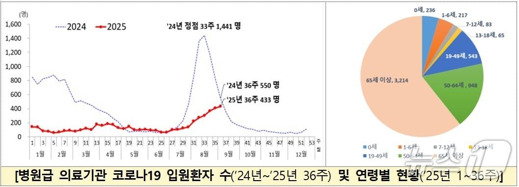 본문 이미지 - 병원급 의료기관 코로나19 입원환자 수 및 연령별 현황(2025년 1~36주) (질병청 제공) 2025.9.12/뉴스1