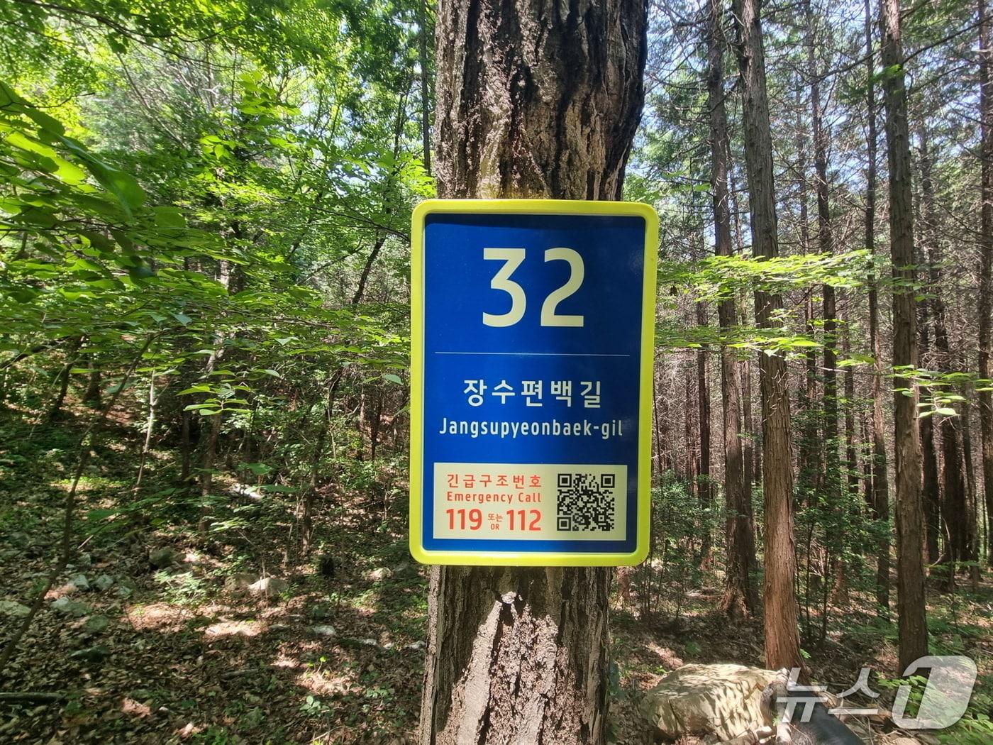 본문 이미지 - 고흥의 한 숲길에 부여된 도로명 모습.(전남도 제공. 재판매 및 DB금지) 2025.9.13/뉴스1