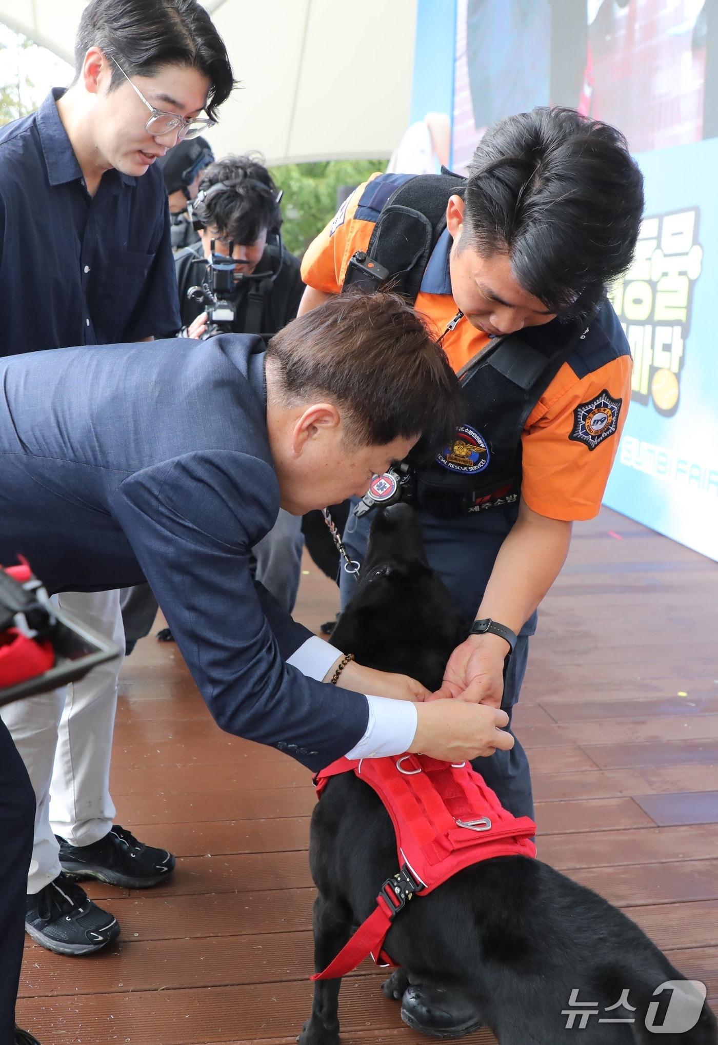 본문 이미지 -  13일 오전 제주시민복지타운에서 열린  '2025년 제주 반려동물 문화산업 한마당'에서 오영훈 제주도지사가 119구조견 나르샤에게 기념 하네스를 달아주고 있다/뉴스1