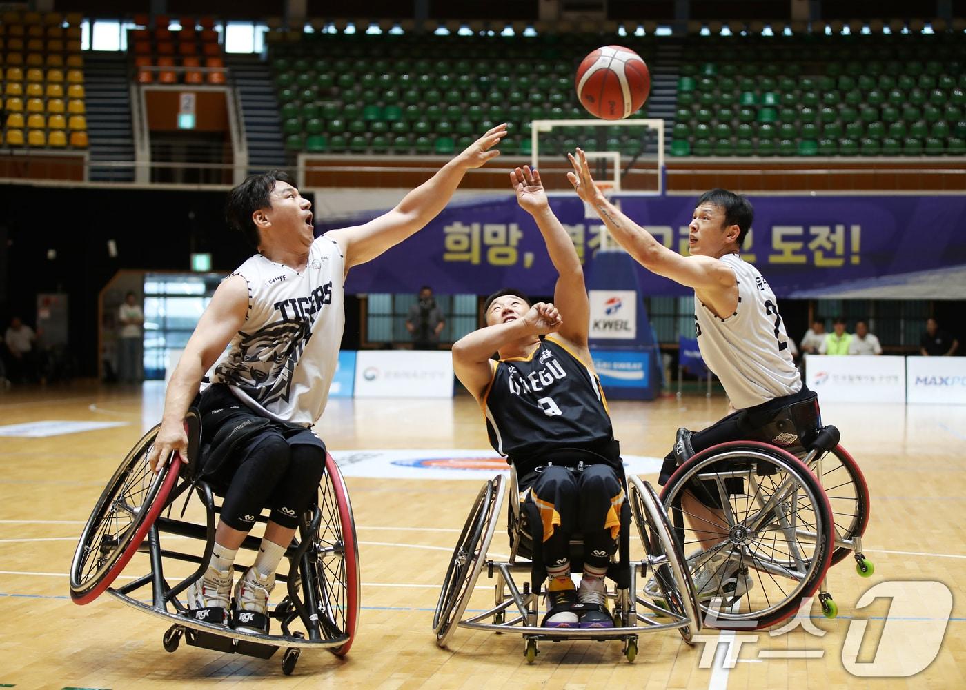 본문 이미지 - 문체부가 2026년 제1차 추가경정예산 102억 원을 활용, 장애인 생활체육 지원을 대폭 강화한다.  (한국휠체어농구연맹 제공. 재판매 및 DB 금지) 2025.9.13 ⓒ 뉴스1