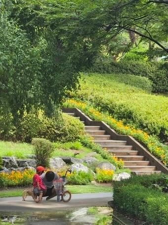 본문 이미지 - &#40;서울시 제공&#41;