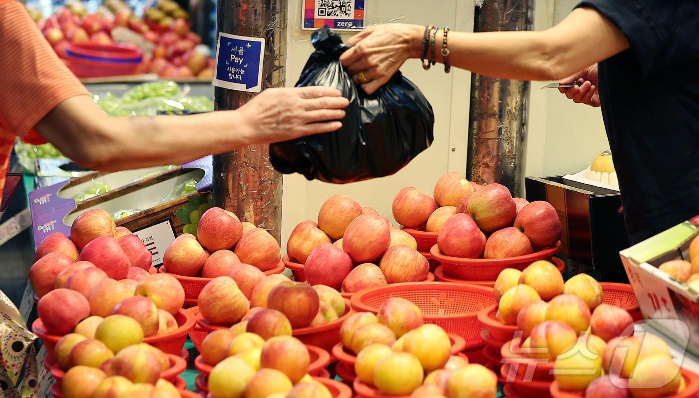 본문 이미지 - ⓒ News1 김진환 기자