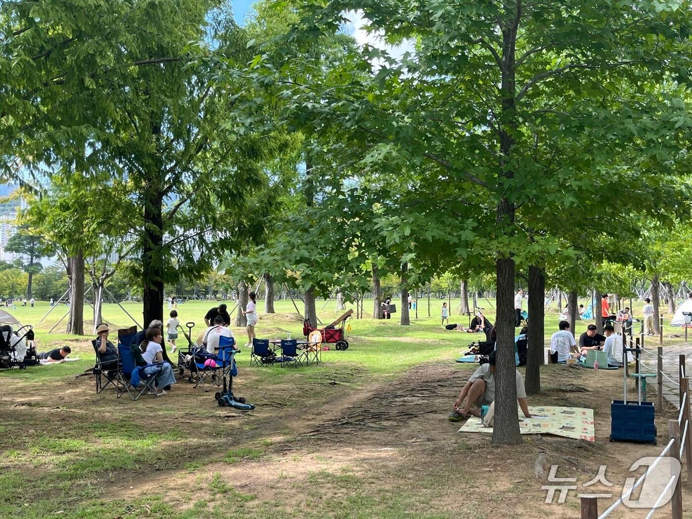 본문 이미지 - 14일 부산시민공원을 찾은 시민들이 돗자리를 펴고 앉아 있다.2025.9.14/뉴스1 ⓒ News1 장광일 기자