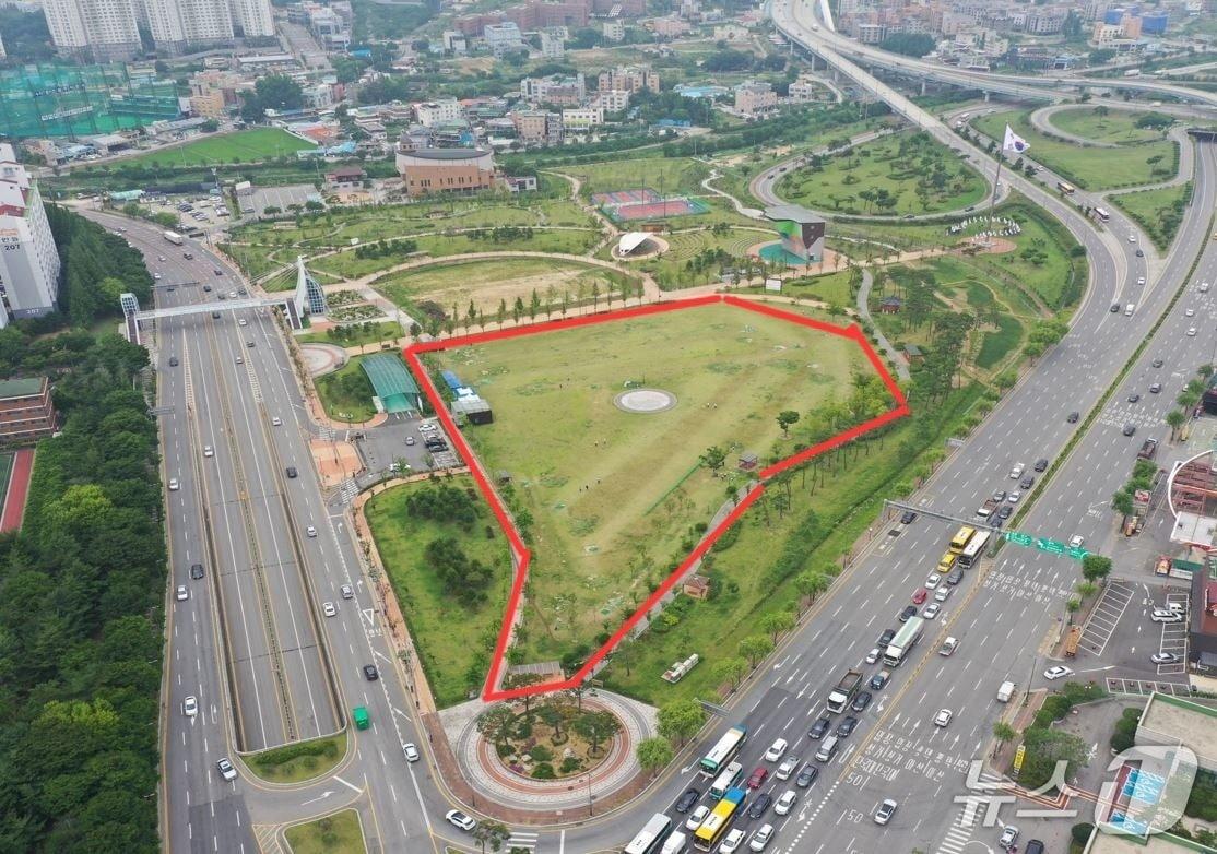 본문 이미지 - 천안시파크골프협회가 사용 중인 도솔공원 잔디광장. 전체 공원 면적의 4분의 1에 해당한다. /뉴스1