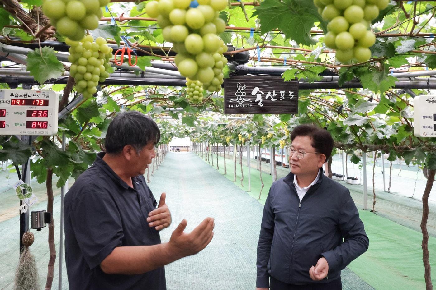 이승돈 농촌진흥청장이 12일 경기 화성시 포도 스마트팜을 방문해 현장을 살펴보고 있다. &#40;농촌진흥청 제공&#41; 2025.9.14 /뉴스1