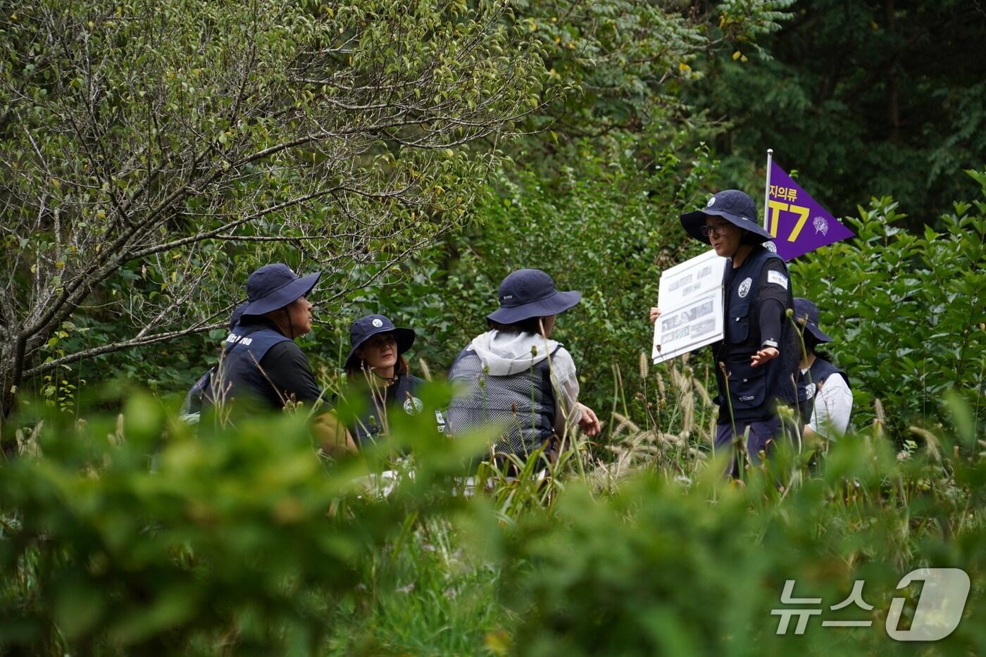  지의류 탐사팀&#40;산림청 국립수목원 제공.재판매 및 DB금지&#41; /뉴스1