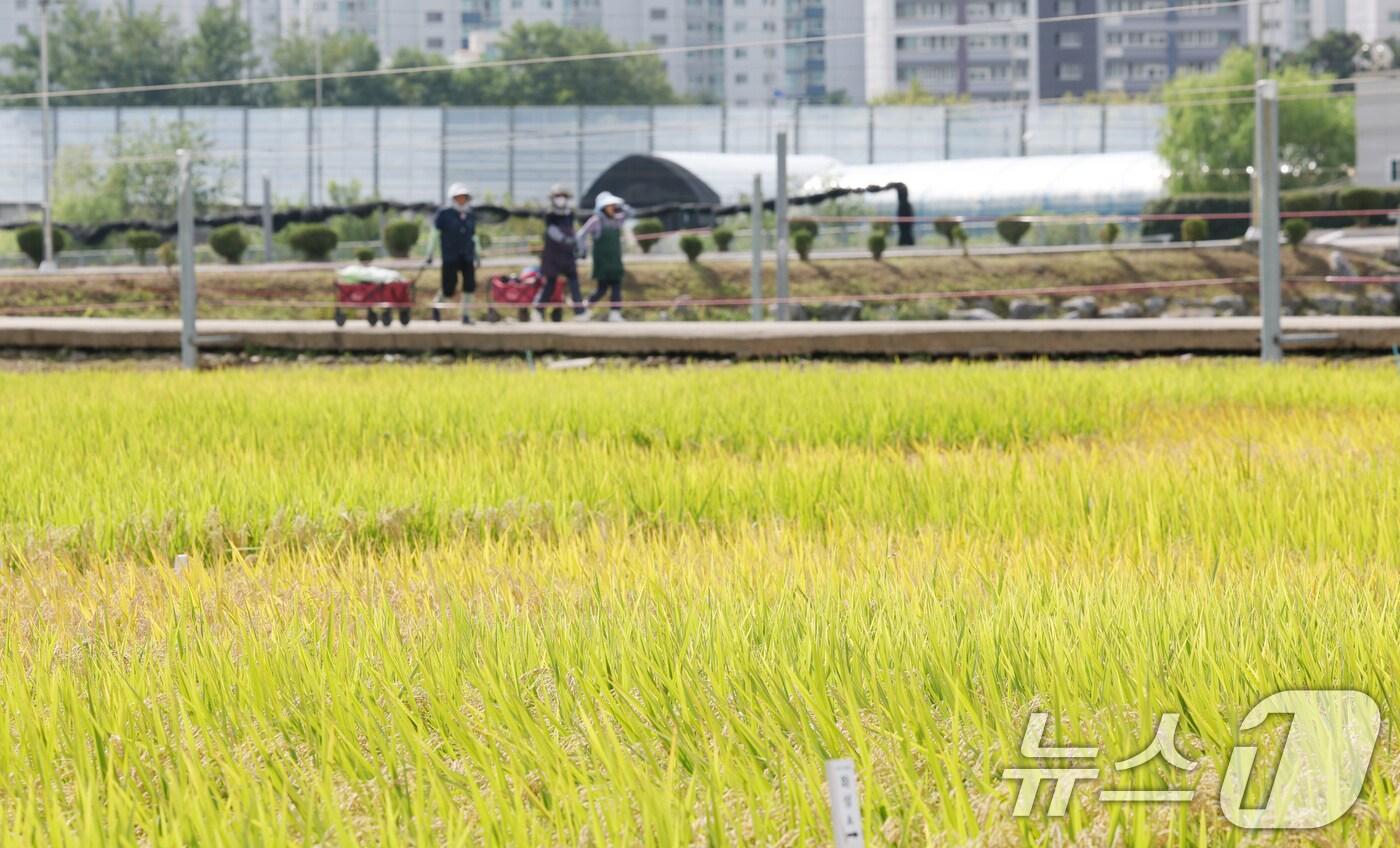 &lt;자료사진&gt; 2025.9.15/뉴스1 ⓒ News1 김영운 기자