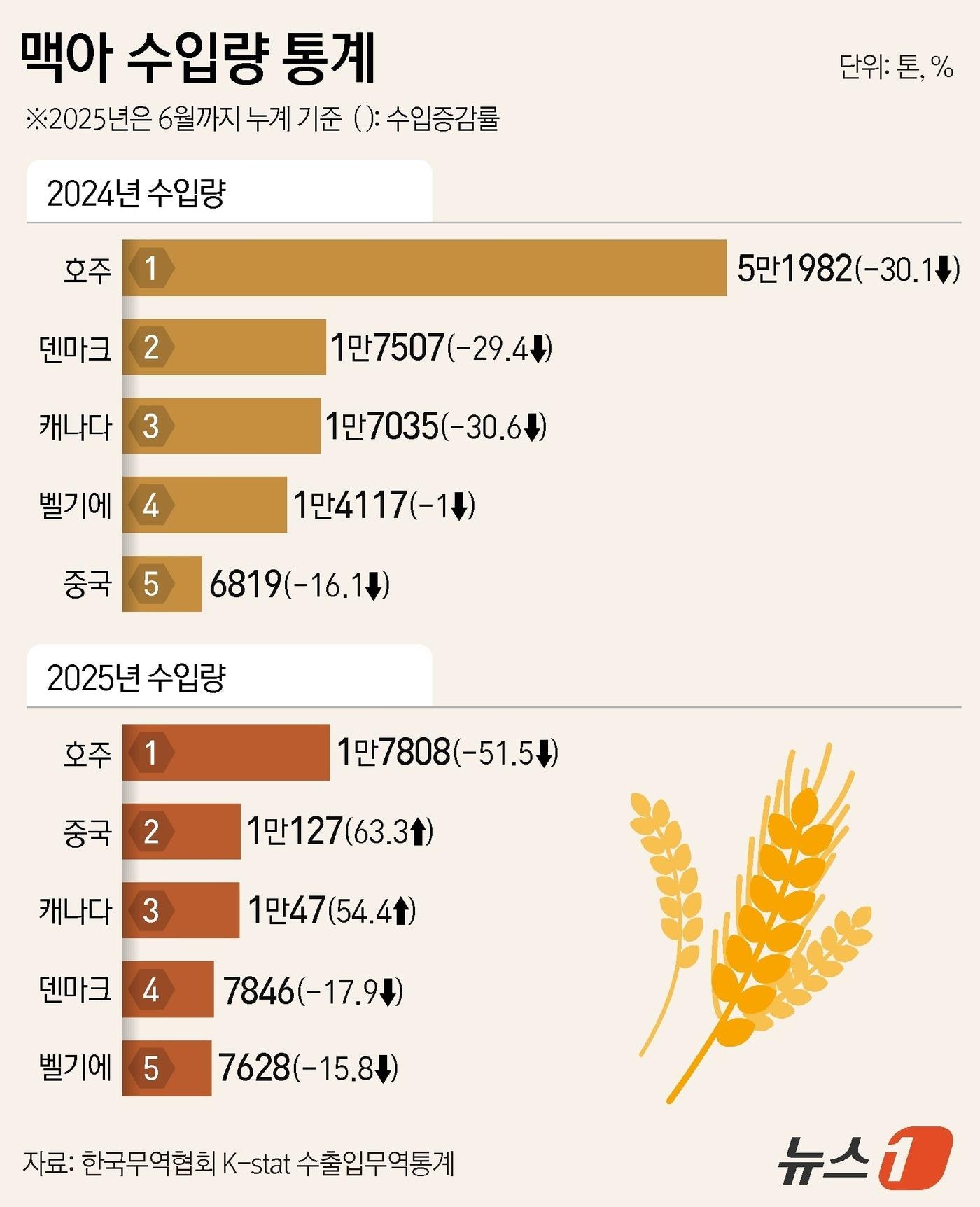 본문 이미지 - ⓒ News1 김지영 디자이너