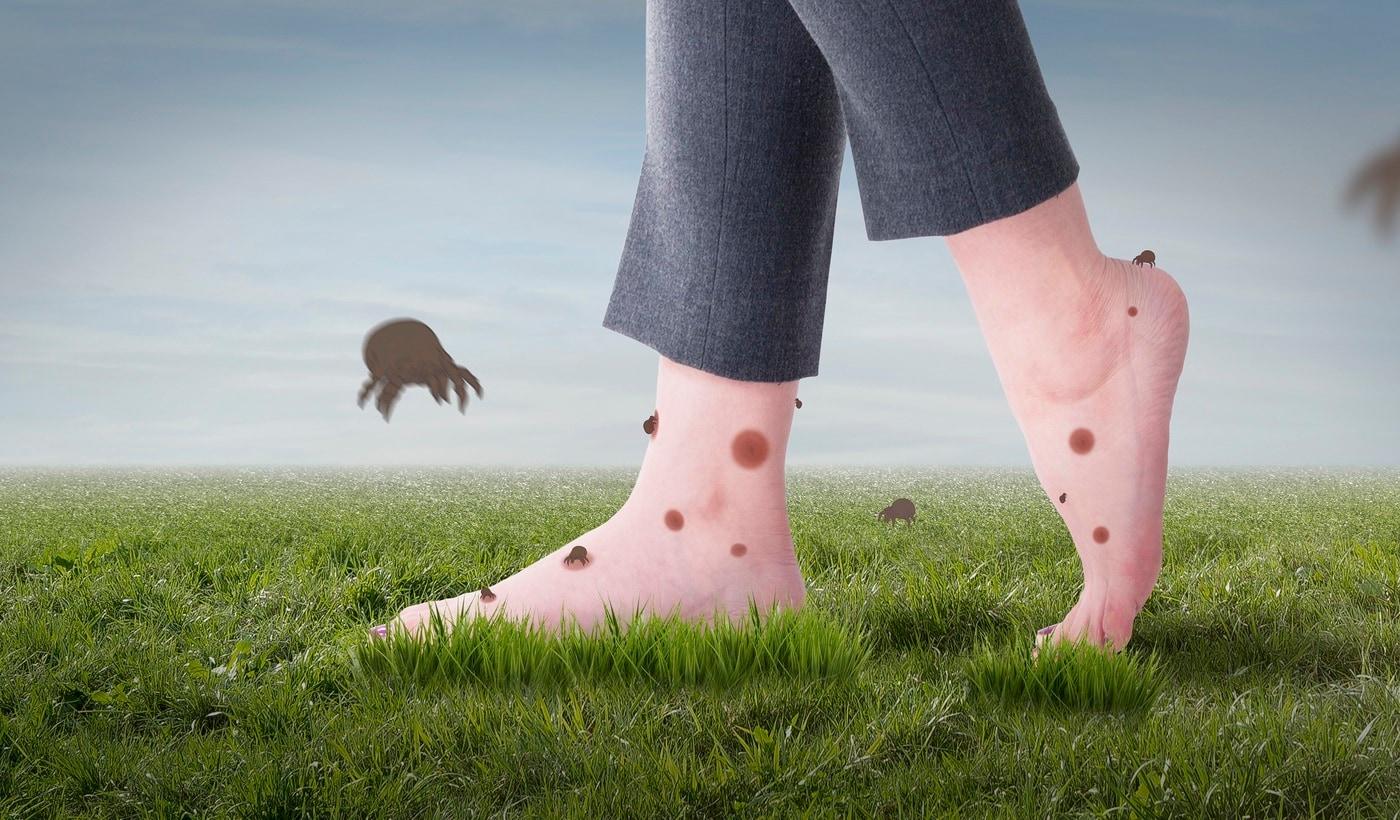 &#40;클립아트코리아 제공&#41;