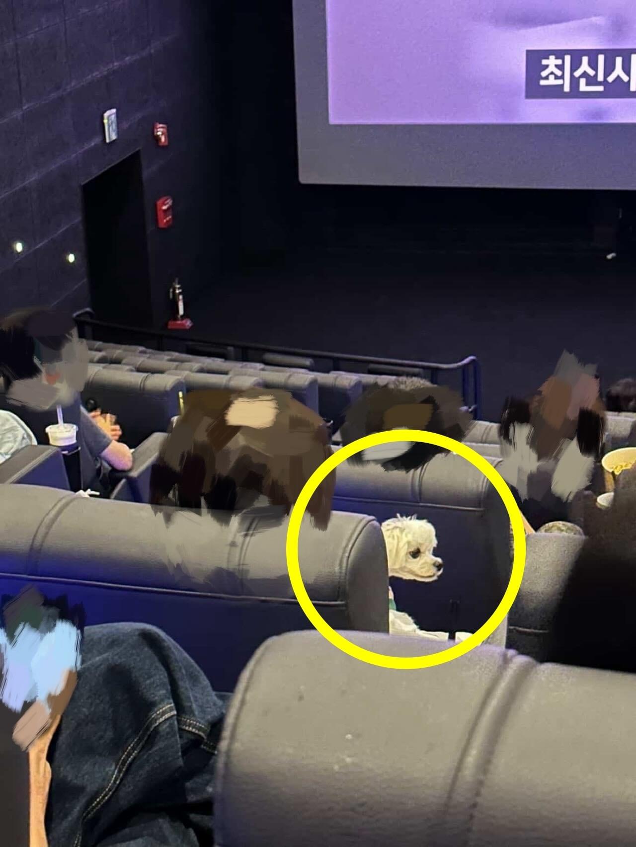 본문 이미지 - &#40;SNS 갈무리&#41;