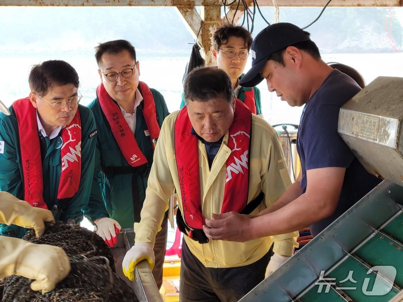 본문 이미지 - 박명균 경남도 행정부지사&#40;가운데&#41;가 15일 고성군 가리비 양식장에서 빈산소수괴로 폐사한 가리비를 살펴보고 있다.&#40;경남도 제공. 재판매 및 DB금지&#41;