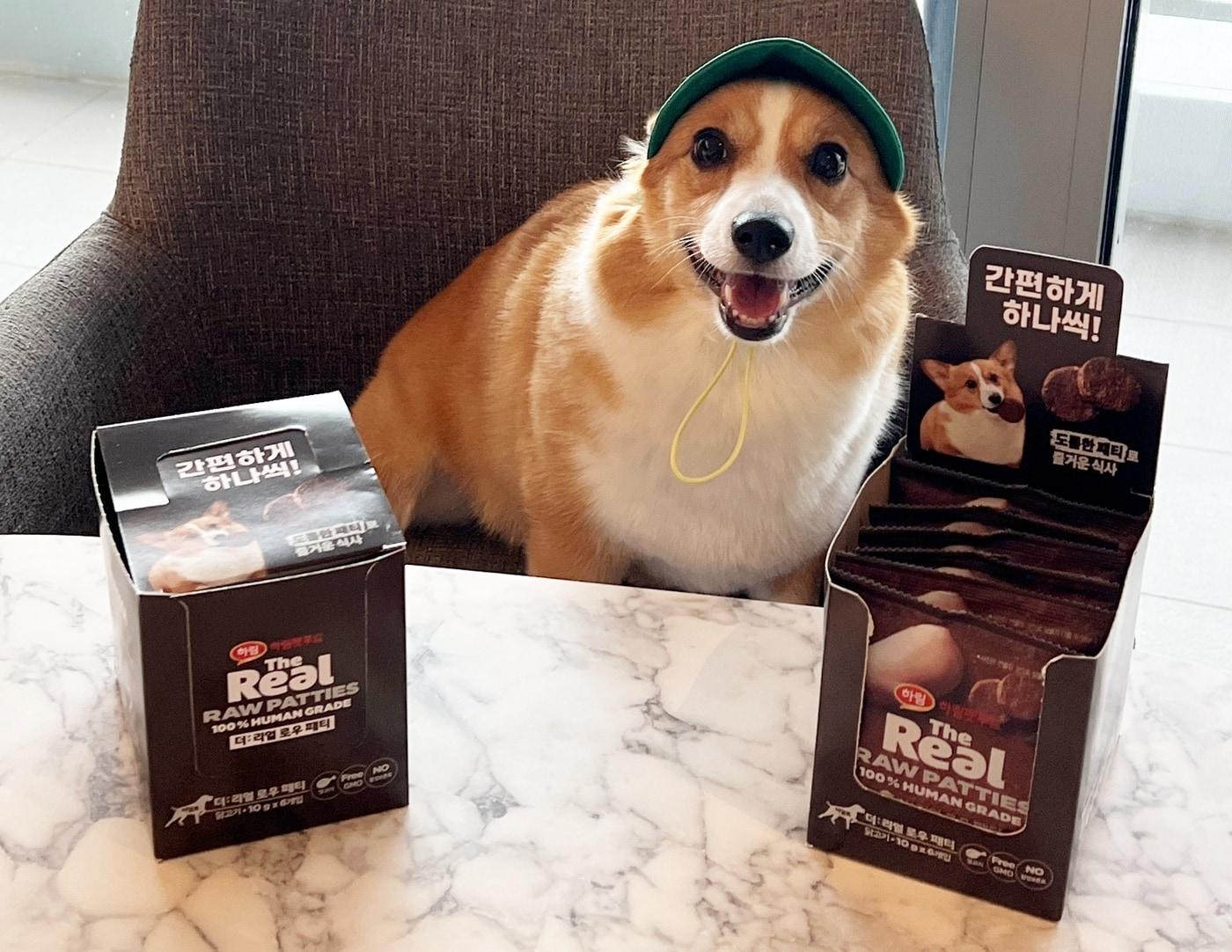 본문 이미지 - 더리얼 로우 패티 박스(하림펫푸드 제공) ⓒ 뉴스1