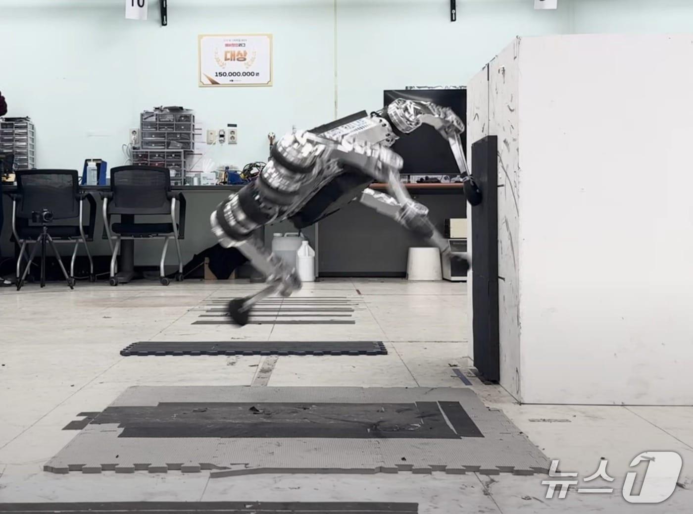 본문 이미지 - 라이온로보틱스가 개발한 사족보행 로봇 '라이보'(라이온로보틱스 제공)