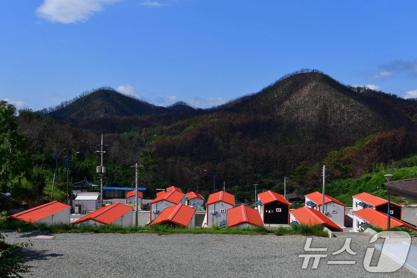 본문 이미지 - 경북 영덕 괴물산불 피해지역인 석리 마을 공터에 마련된 산불이재민 임시 숙소인 조립식 주택. (뉴스1 자료, 재판매 및 DB금지) 뉴스1 최창호 기자