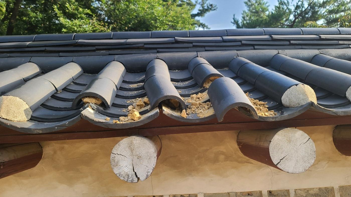 훼손된 종묘 담장. (국가유산청 제공)