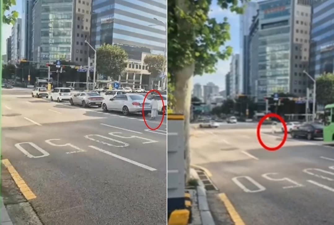 본문 이미지 - (보배드림)