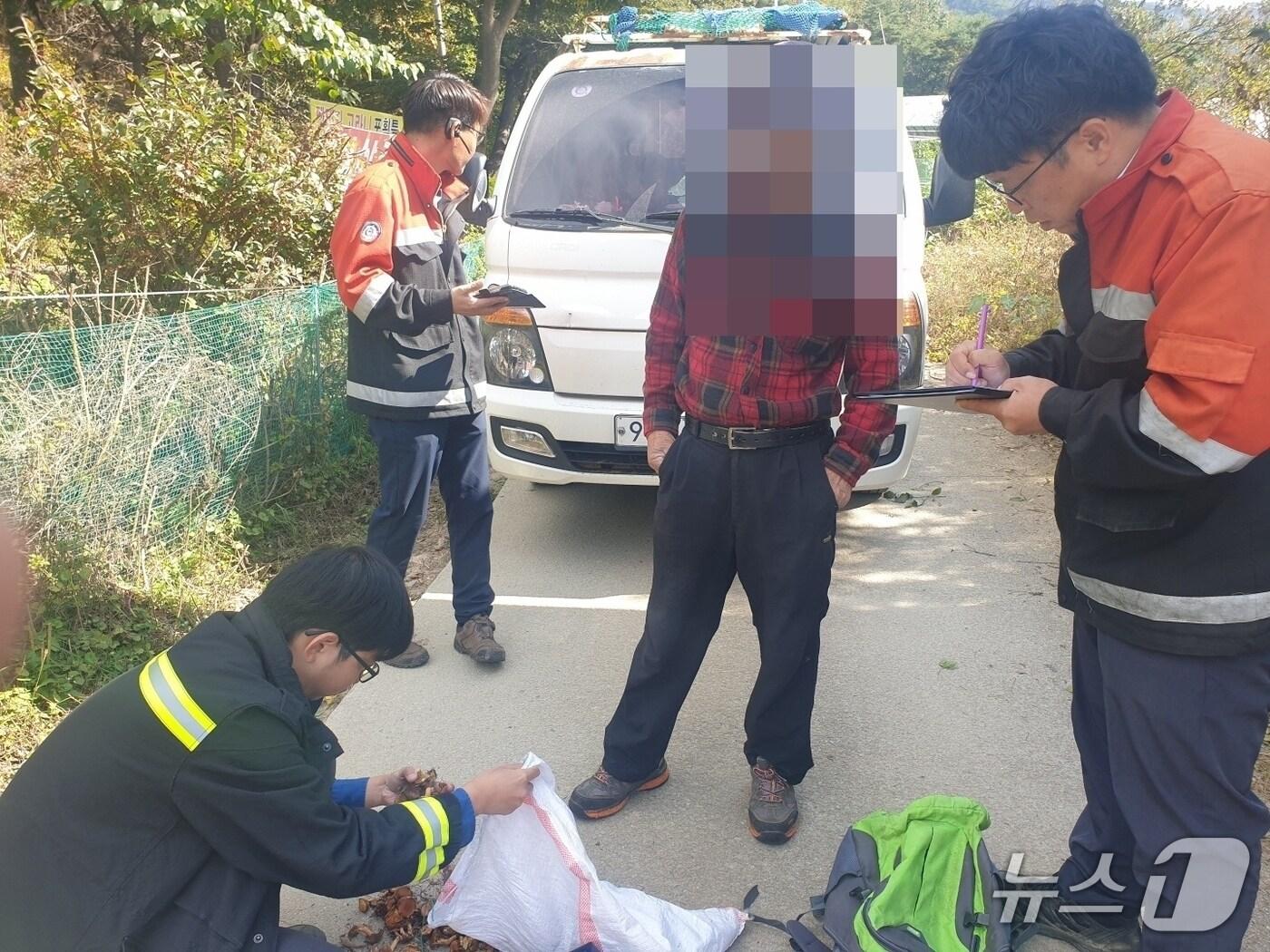 본문 이미지 - 보은군 산림내 불법행위 단속 장면 (보은군 제공. 재판매 및 DB금지) /뉴스1 