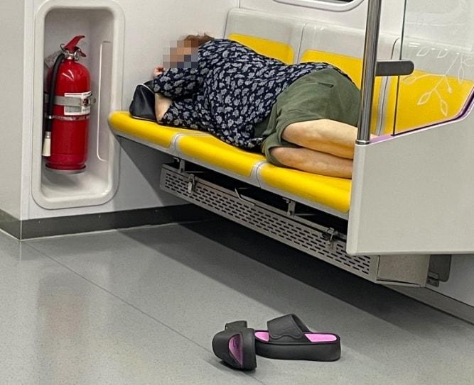 본문 이미지 - (보배드림)